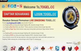 Togelcc - Solusi Lupa Username dan Password