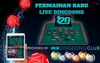 Permainan Baru Live Dingdong 12D di Togelcc