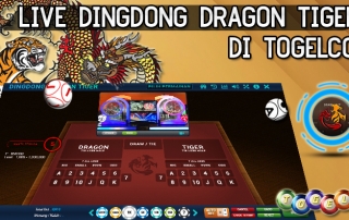 Live Dingdong Dragon Tiger