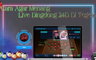 Cara Agar Menang Live Dingdong 24D Di Togelcc